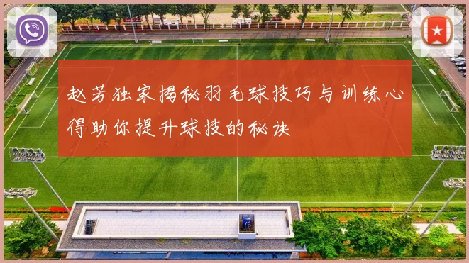 赵芳独家揭秘羽毛球技巧与训练心得助你提升球技的秘诀