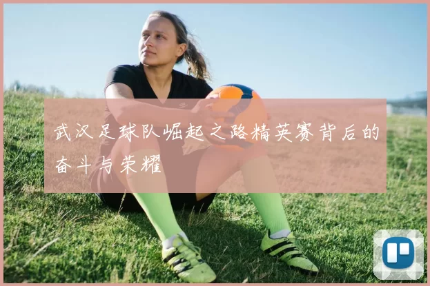 武汉足球队崛起之路精英赛背后的奋斗与荣耀