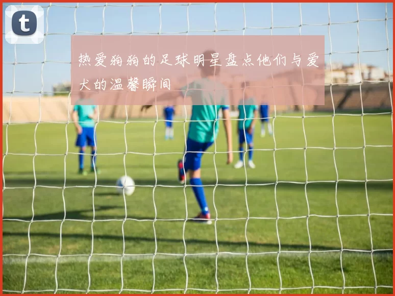 热爱狗狗的足球明星盘点他们与爱犬的温馨瞬间
