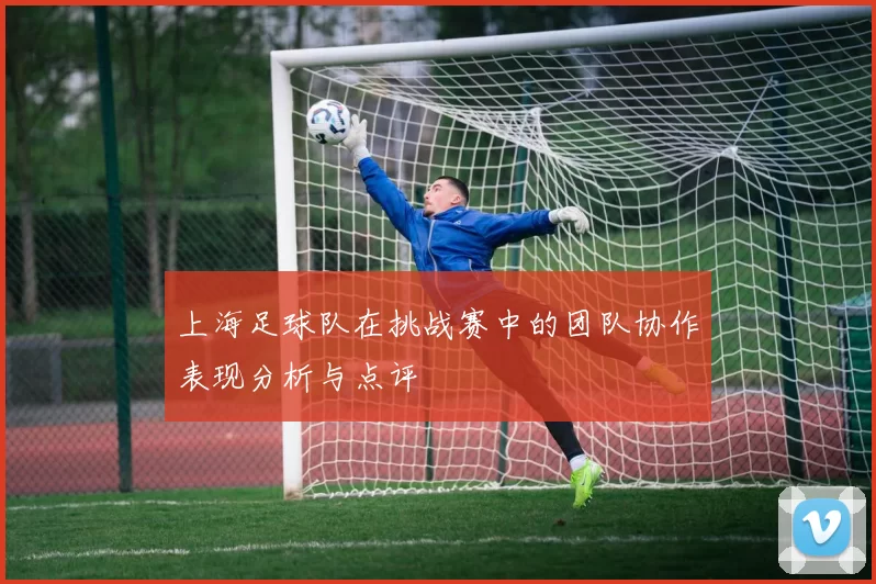 上海足球队在挑战赛中的团队协作表现分析与点评