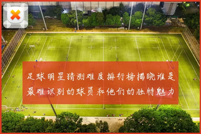 足球明星猜测难度排行榜揭晓谁是最难识别的球员和他们的独特魅力