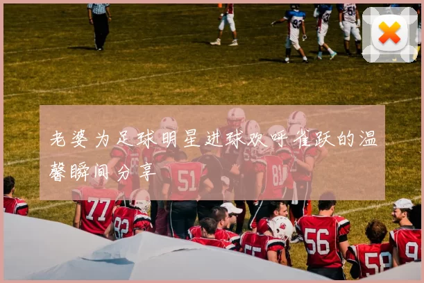 老婆为足球明星进球欢呼雀跃的温馨瞬间分享
