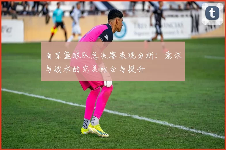 南京篮球队总决赛表现分析：意识与战术的完美结合与提升