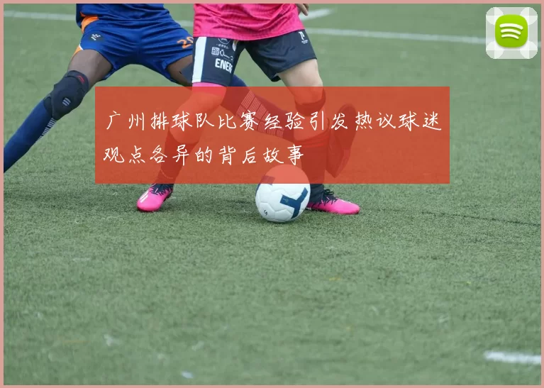 广州排球队比赛经验引发热议球迷观点各异的背后故事
