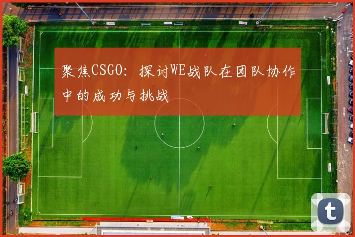 聚焦CSGO：探讨WE战队在团队协作中的成功与挑战