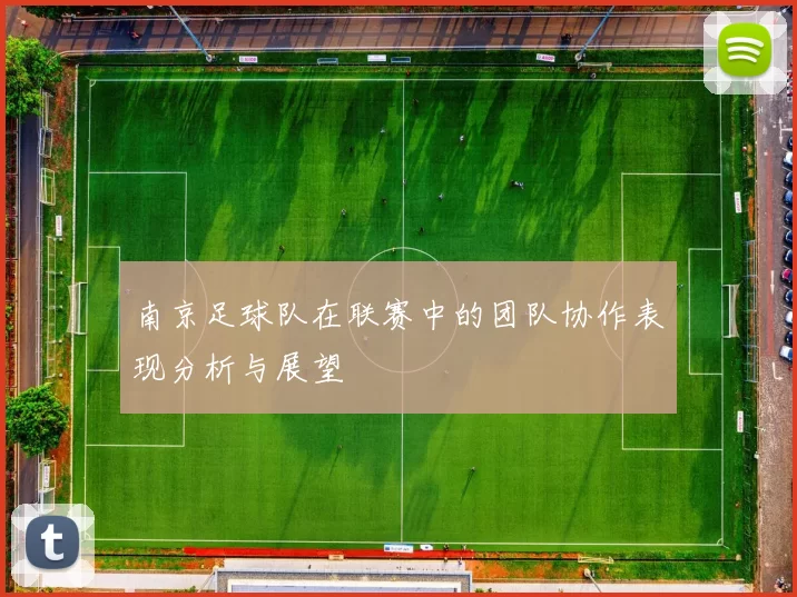 南京足球队在联赛中的团队协作表现分析与展望