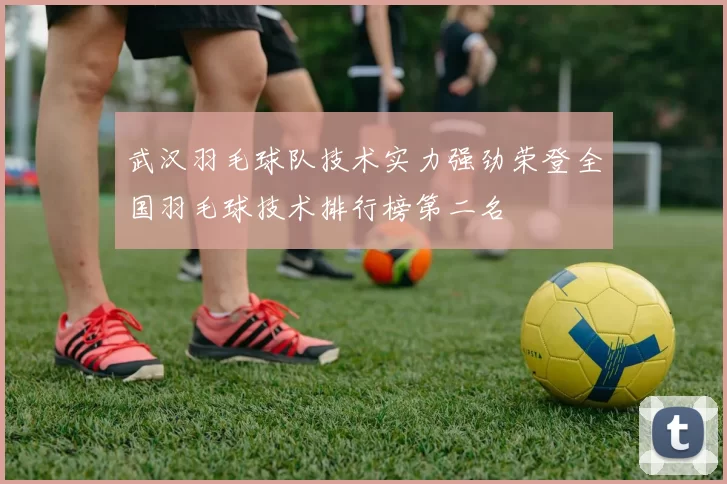 武汉羽毛球队技术实力强劲荣登全国羽毛球技术排行榜第二名