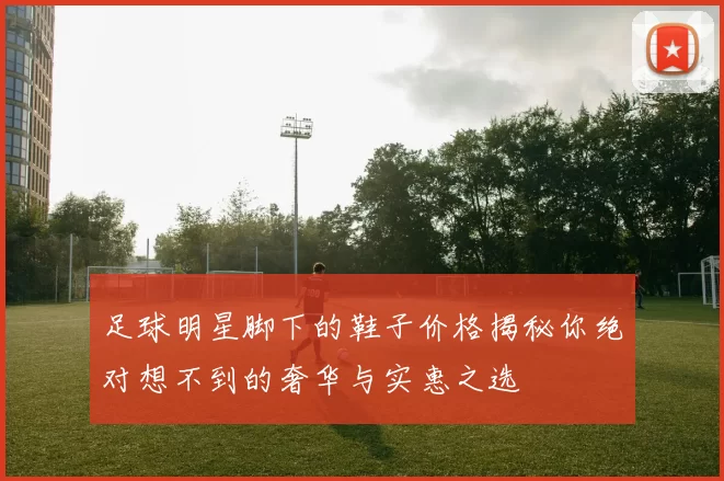 足球明星脚下的鞋子价格揭秘你绝对想不到的奢华与实惠之选