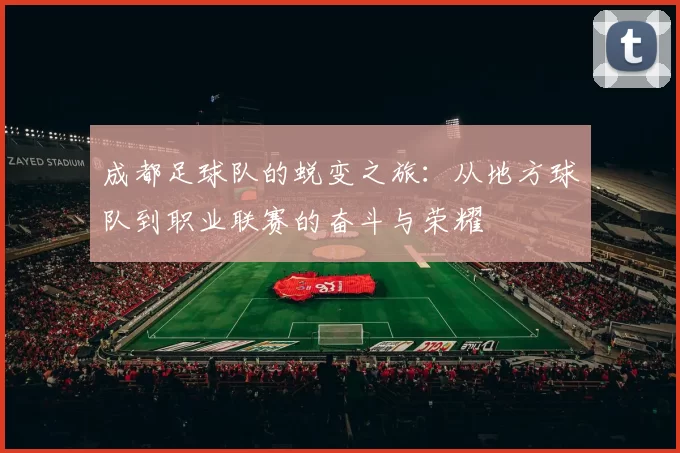 成都足球队的蜕变之旅：从地方球队到职业联赛的奋斗与荣耀