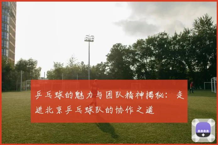 乒乓球的魅力与团队精神揭秘：走进北京乒乓球队的协作之道