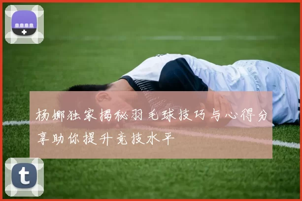 杨娜独家揭秘羽毛球技巧与心得分享助你提升竞技水平