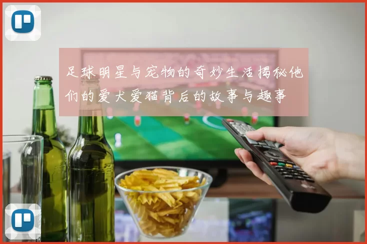 足球明星与宠物的奇妙生活揭秘他们的爱犬爱猫背后的故事与趣事