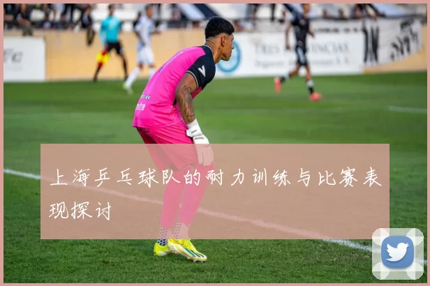 上海乒乓球队的耐力训练与比赛表现探讨