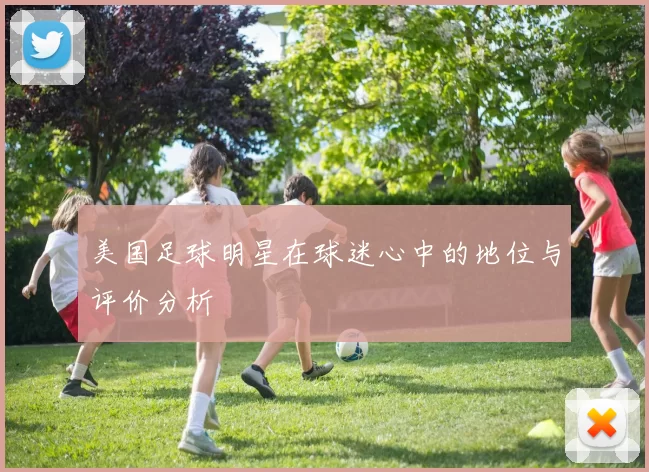 美国足球明星在球迷心中的地位与评价分析