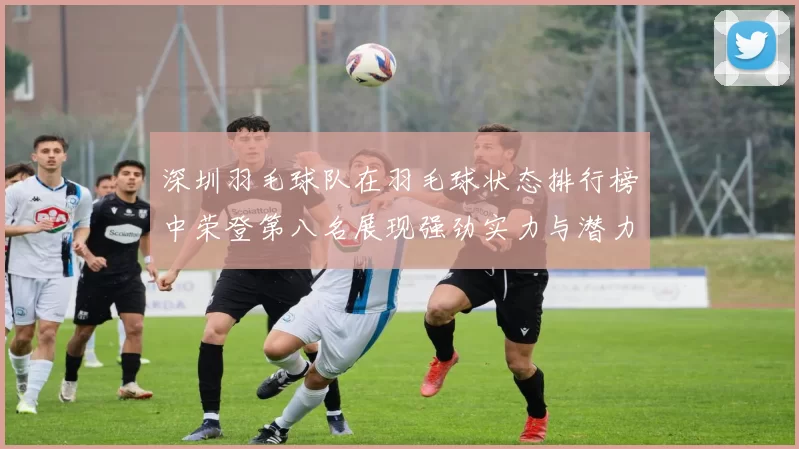 深圳羽毛球队在羽毛球状态排行榜中荣登第八名展现强劲实力与潜力
