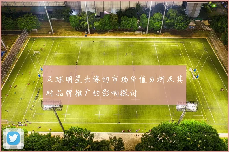 足球明星头像的市场价值分析及其对品牌推广的影响探讨