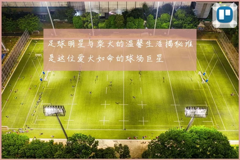 足球明星与柴犬的温馨生活揭秘谁是这位爱犬如命的球场巨星