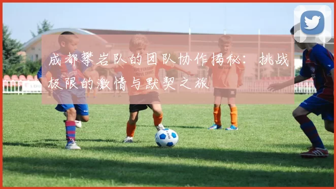 成都攀岩队的团队协作揭秘：挑战极限的激情与默契之旅