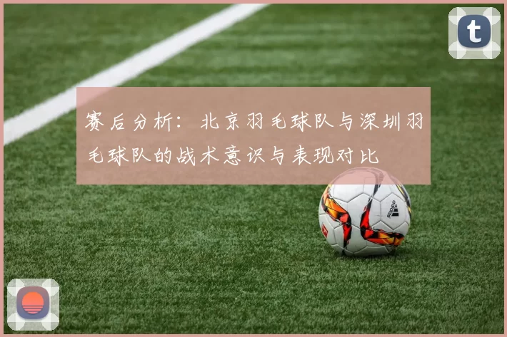 赛后分析：北京羽毛球队与深圳羽毛球队的战术意识与表现对比