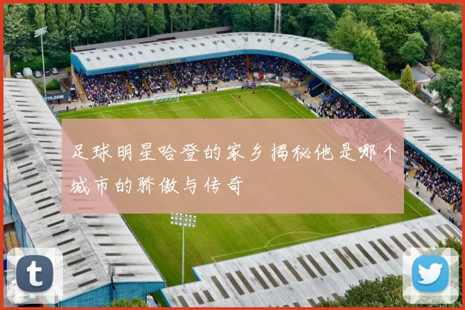足球明星哈登的家乡揭秘他是哪个城市的骄傲与传奇