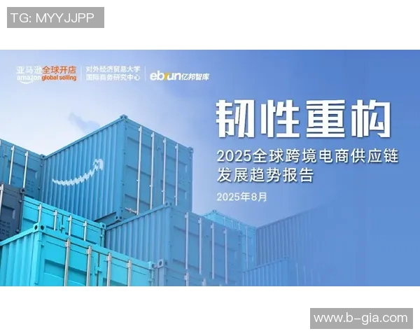 打造全球商务新格局:创新战略与跨境合作的未来发展趋势